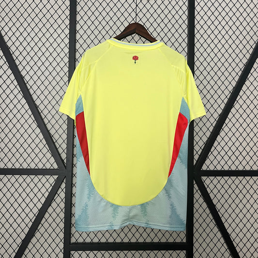 Maillot Espagne extérieur 24/25