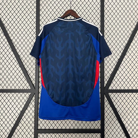 Japan concept jersey